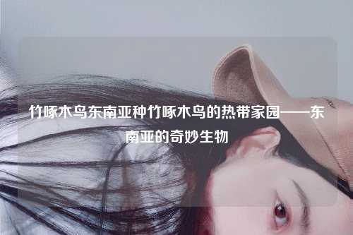 竹啄木鸟东南亚种竹啄木鸟的热带家园——东南亚的奇妙生物